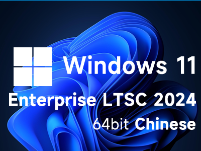 Windows 11 Enterprise LTSC 2024 V24H2 OSbulid26100.2314(Chinese)icon