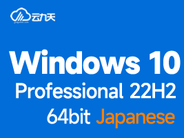 Windows 10 Professional V22H2 OS build 19045 64-bit (Japanese) icon