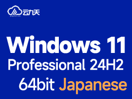 Windows 11 Professional V24H2 64bit OSbuild 26100(Japanese)icon